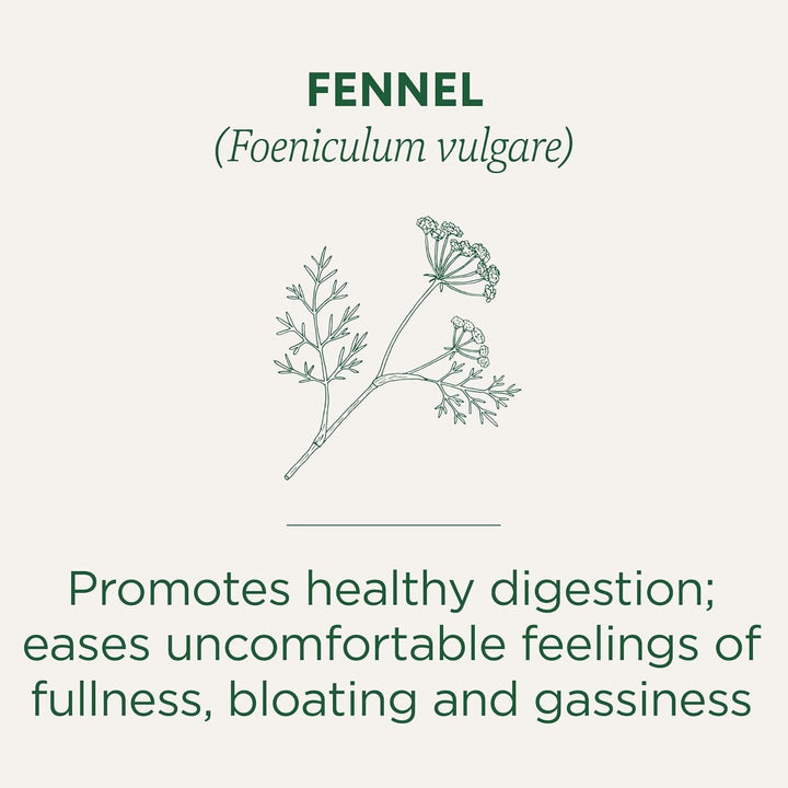 Traditional Medicinals Tea, Organic Fennel, Promotes Healthy Digestion, 96 Tea Bags (6 Pack) Tea USA Naty Shop