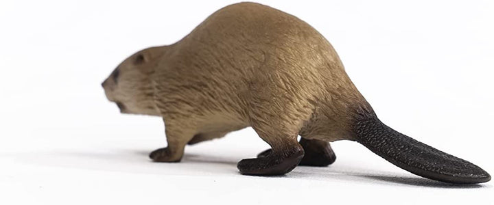 Beaver Beaver