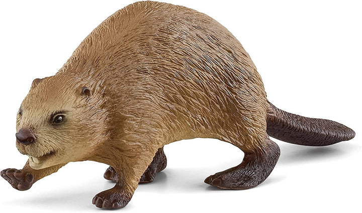 Beaver Beaver