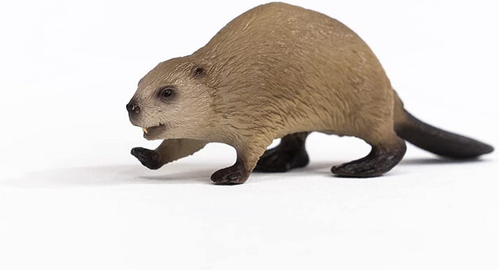 Beaver Beaver