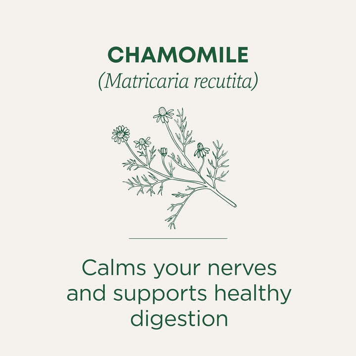 Tea, Organic Chamomile, Calming, Calms Your Nerves, Supports Healthy Digestion, 96 Tea Bags (6 Pack) Tea USA Naty Shop