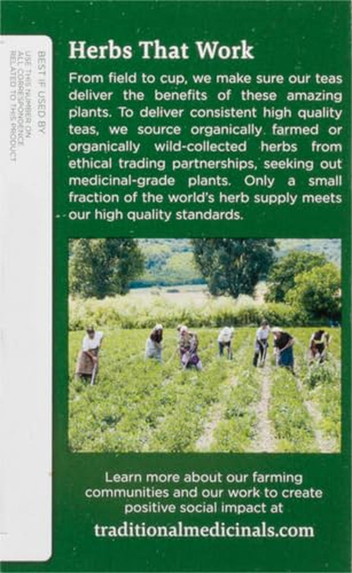 Organic Lemon Balm Herbal Tea, Calming and Supports Digestion, (Pack of 1) - 16 Tea Bags Tea USA Naty Shop