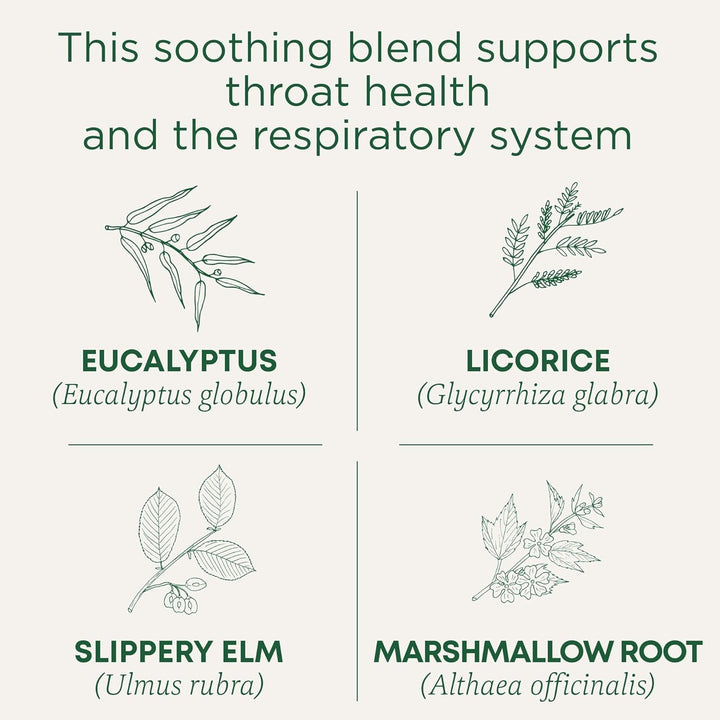 Tea, Organic Throat Coat Eucalyptus, Throat and Respiratory Support, 96 Tea Bags (6 Pack) Tea USA Naty Shop