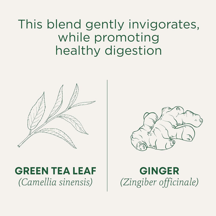 Tea, Organic Green Tea Ginger, Promotes Healthy Digestion, 16 Tea Bags Tea USA Naty Shop